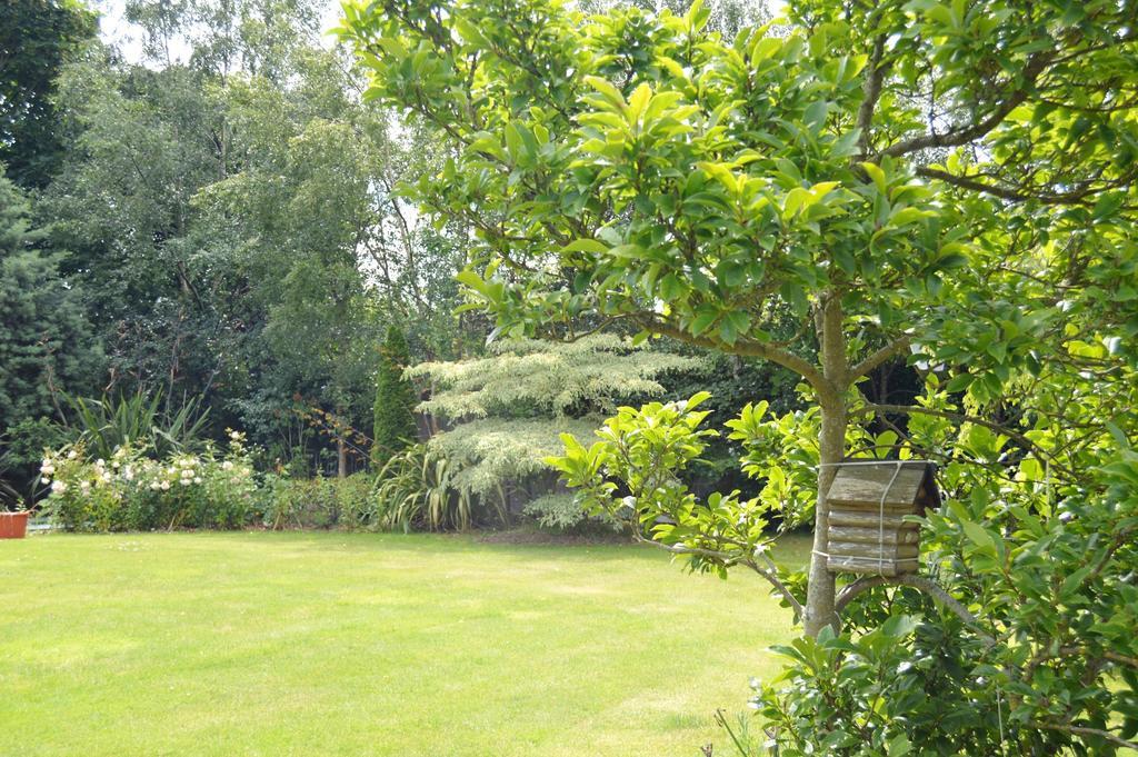 Beechwood Country House Guest House Malahide Eksteriør bilde